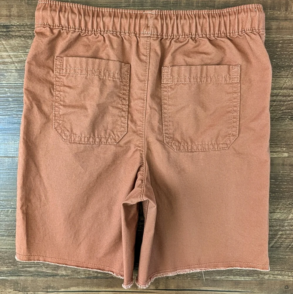 Carter's Brown Shorts